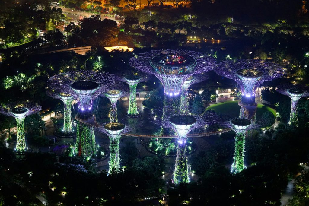 aerial photography of baobab trees