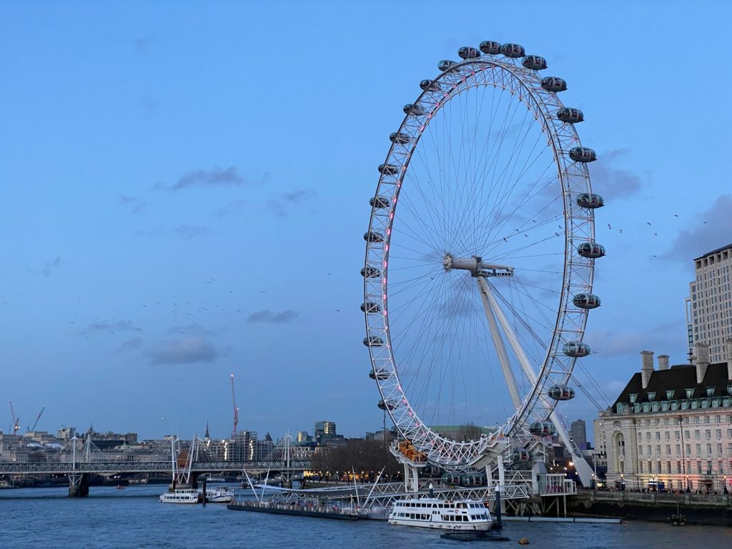 ferris wheel near body of water during daytime