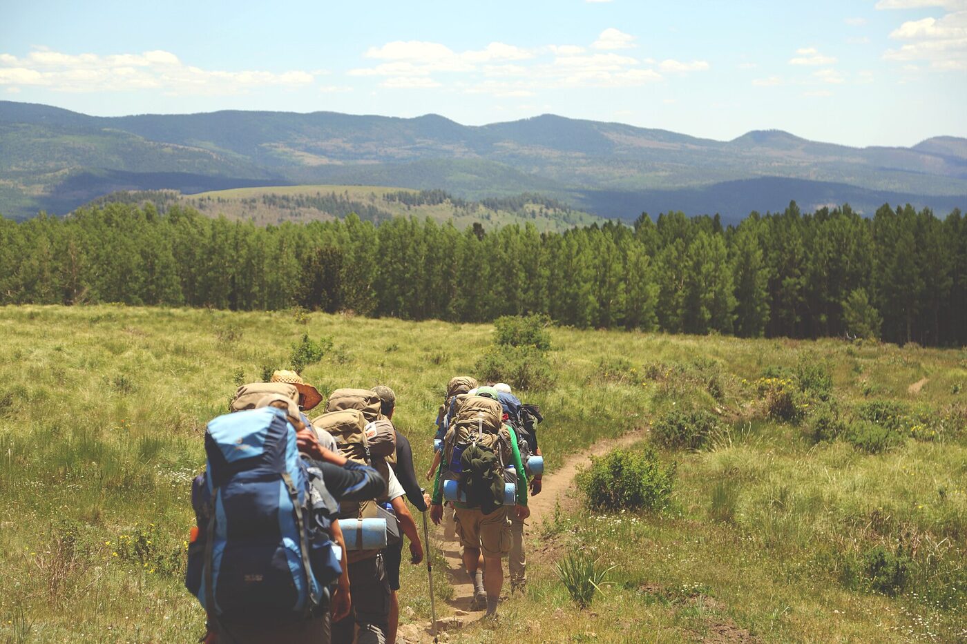 A group of walkers with large backpacks following a single-file trail across a meadow towards forested hills